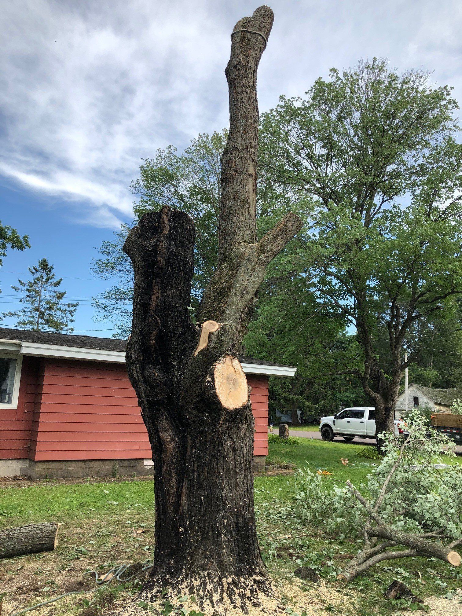 A large tree stump is sitting in front of a red house.