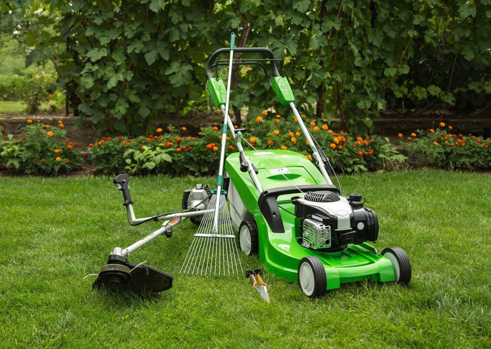 Tosaerba, decespugliatore, rastrello e utensili manuali su erba verde in un giardino.