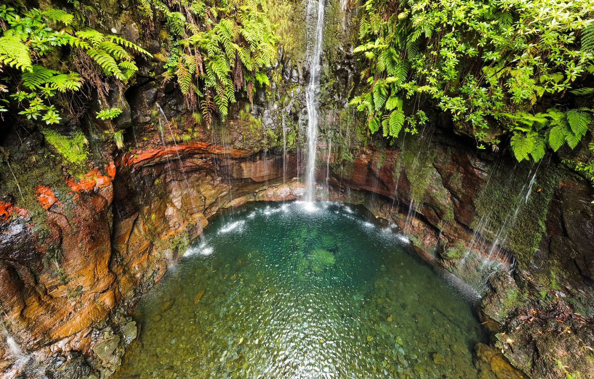 Serene waterfall cascading into a clear green natural pool surrounded by lush ferns in Madeira.
