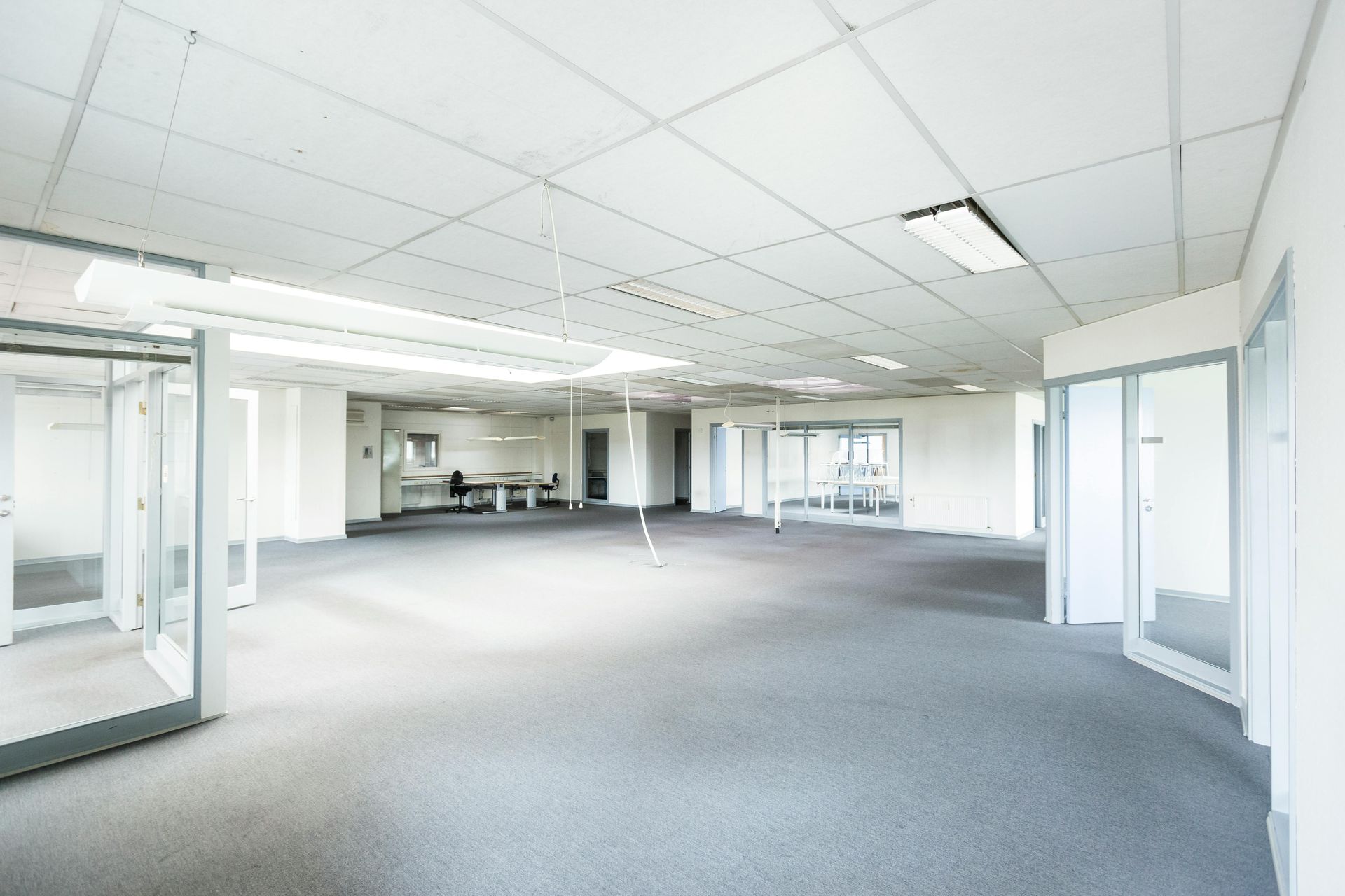 A spacious, empty office with grey carpet, white walls, drop ceilings, and glass-partitioned rooms.