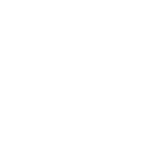 Auto Glass 4 You Logo