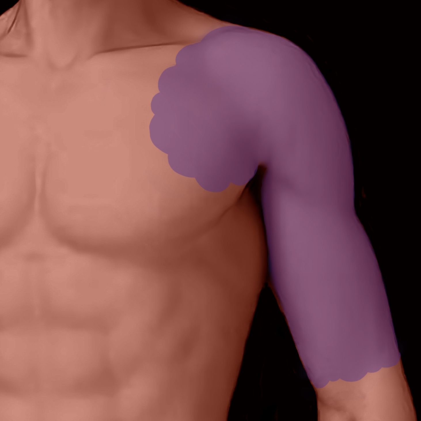 Man's torso and arm highlighted in purple, indicating potential Botan-giri Irezumi frame