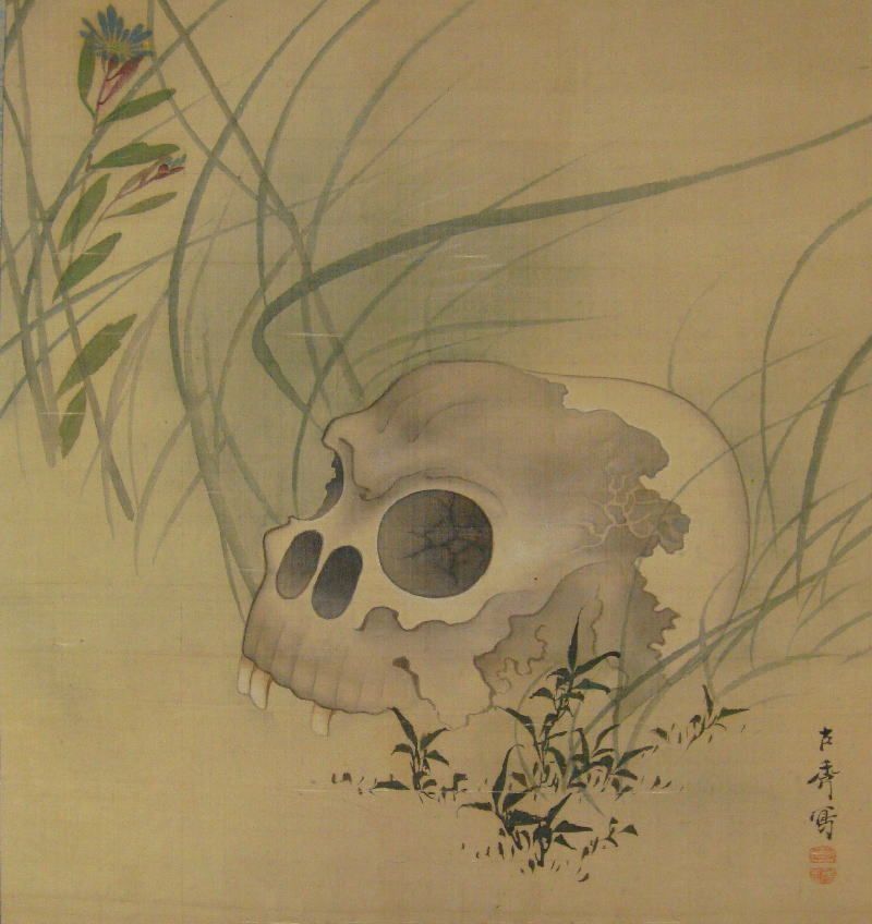 Human skull resting in tall grass. Soft colors, hints of blue and green. Japanese style artwork.