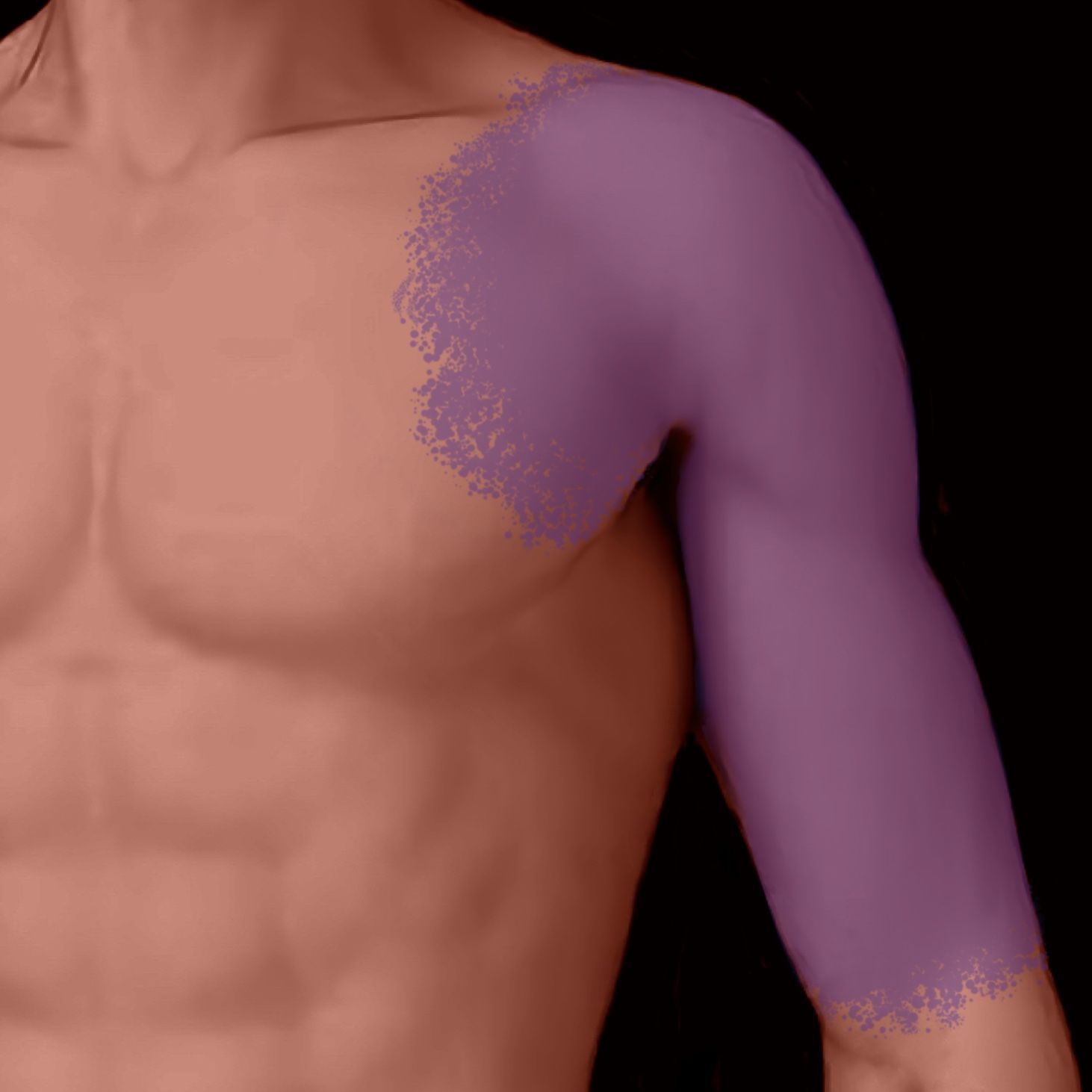 Human torso with purple shading indicating Jari Mikiri Irezumi boundary