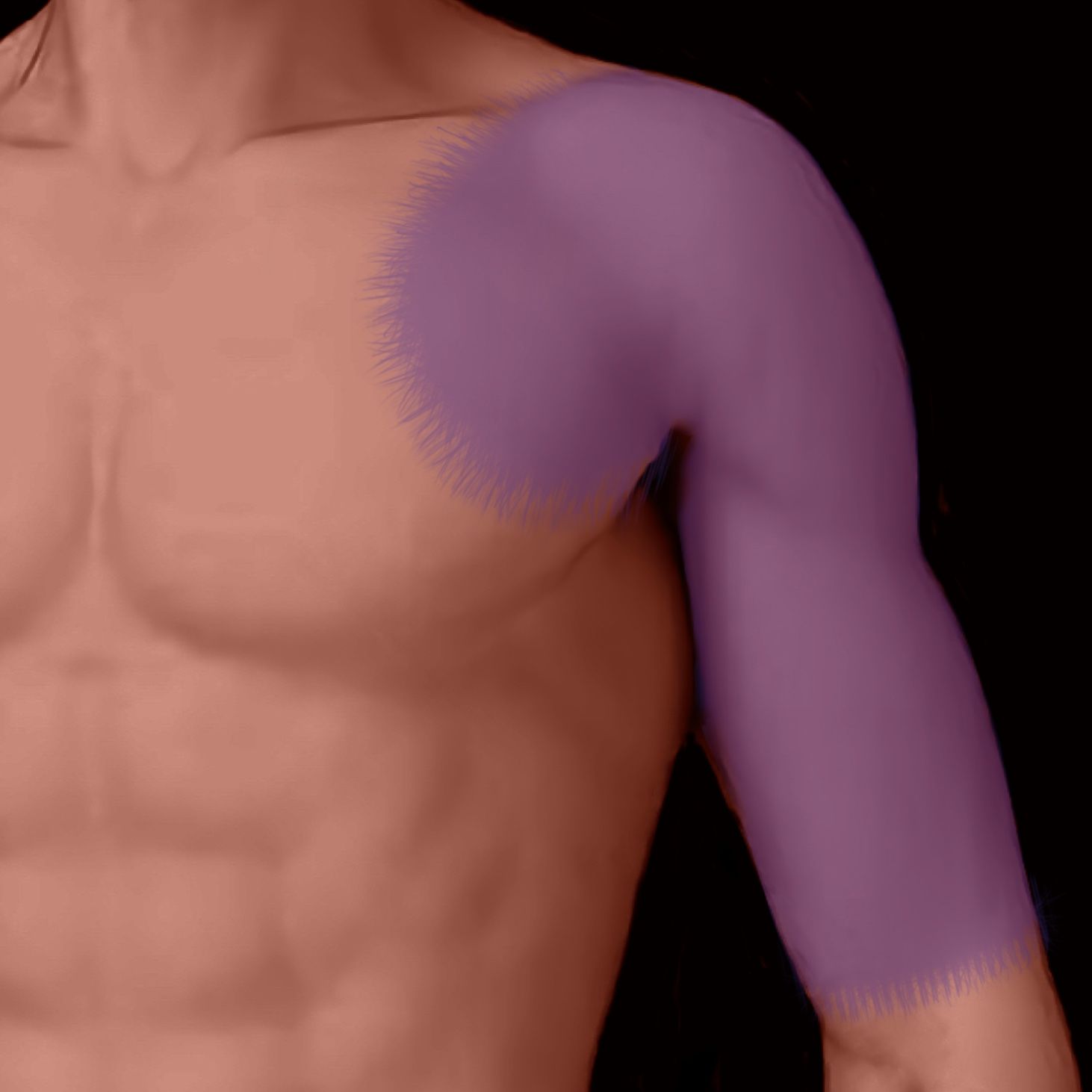 Torso with a purple highlighted area on the shoulder and arm, indicating Matsuba Mikiri Irezumi pattern