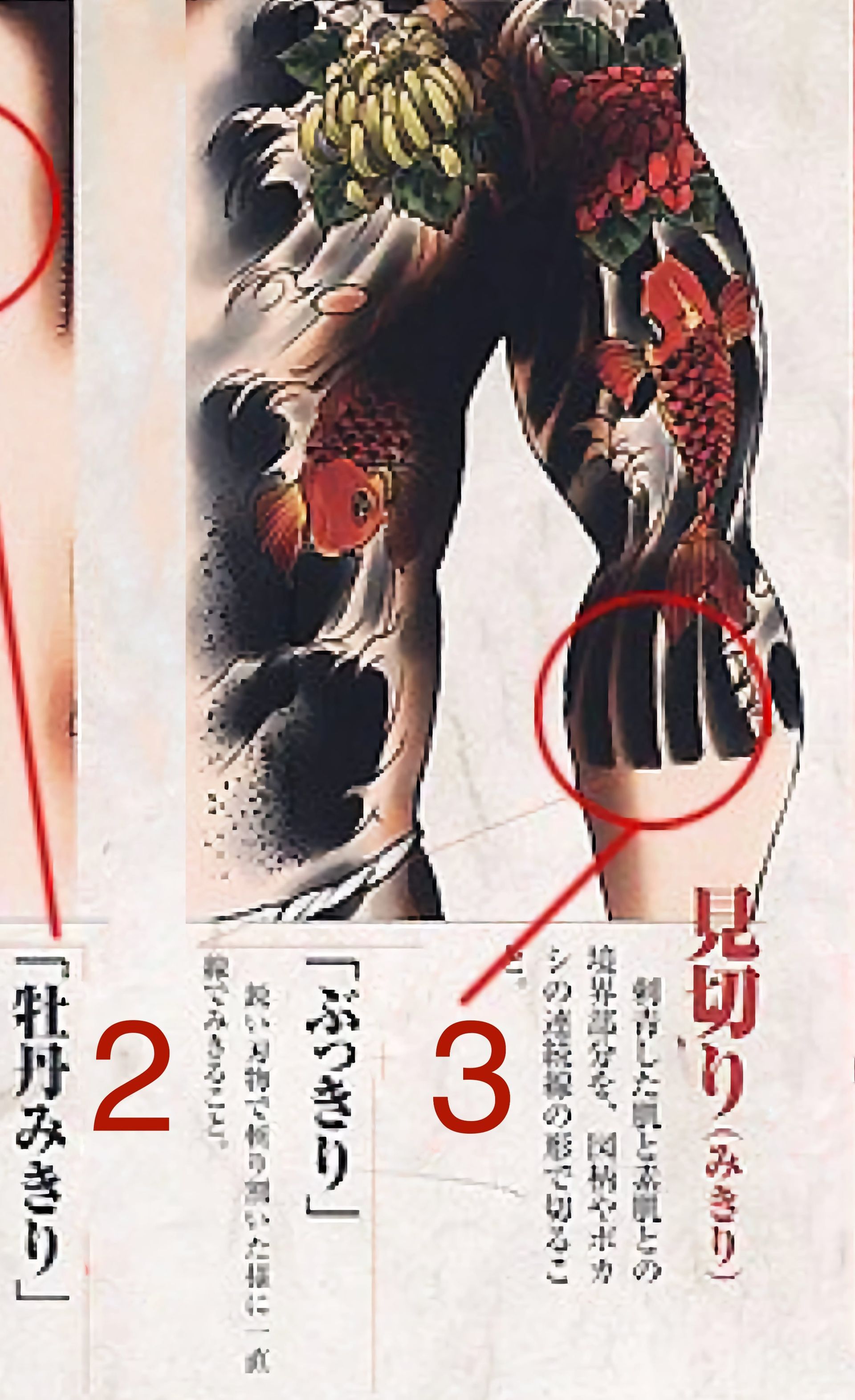 Close-up of a person's tattooed arm and torso, featuring koi fish and floral designs. Text labels point to different areas.