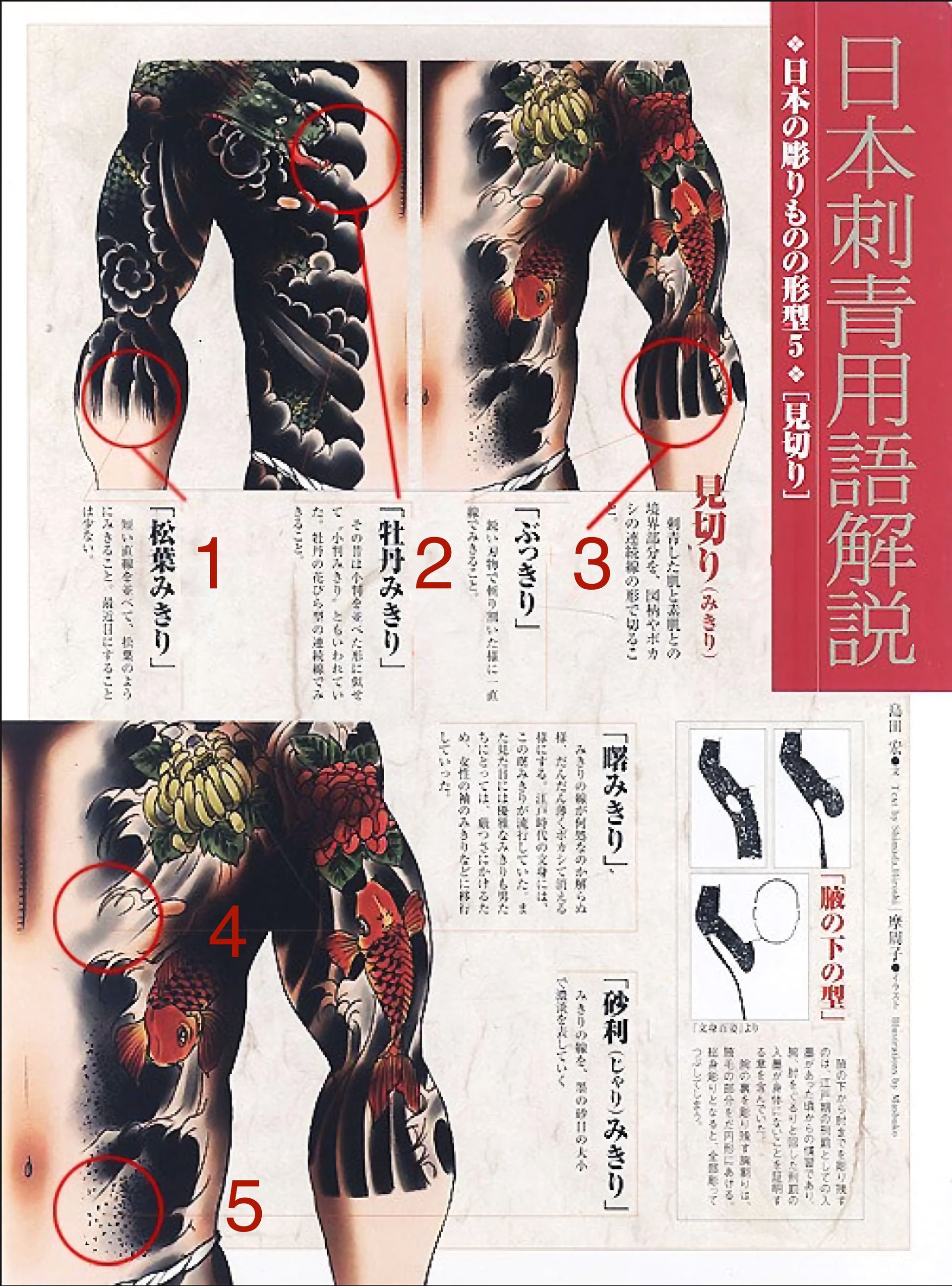 Diagram of Japanese tattoo terminology, showing body sections with labeled tattoo areas.