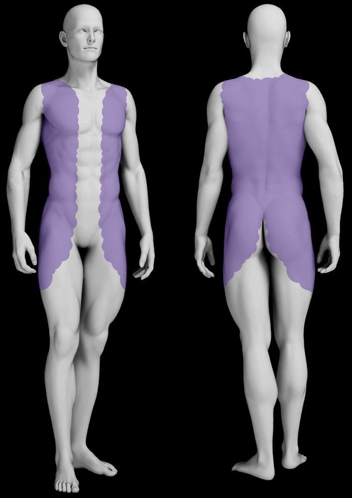 Front and back anatomical view of a person; purple area highlights torso muscles.