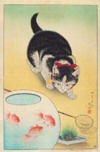 A black and white cat is looking at a fish bowl.