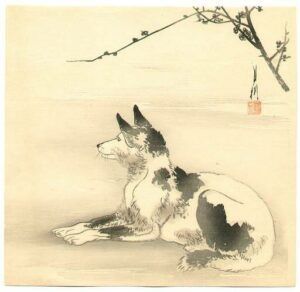 A black and white dog is laying down under a tree branch.