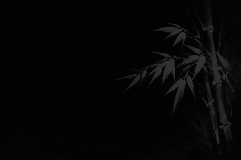 Dark monochrome photo of bamboo stalks and leaves.