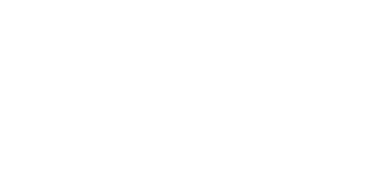 Phantom Limousine Service