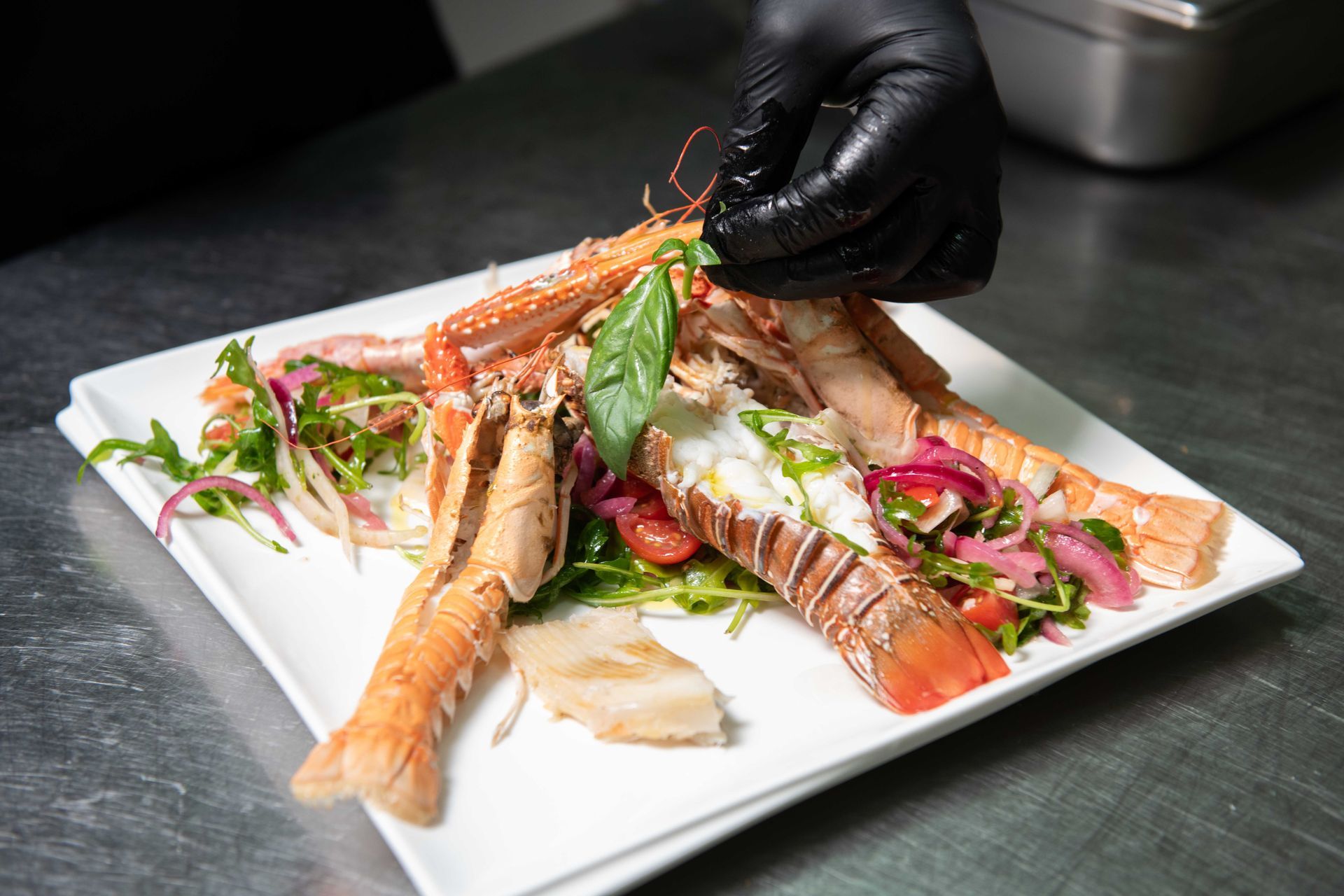 Uno chef con guanti neri guarnisce il piatto di frutti di mare con erbe aromatiche su una superficie metallica.