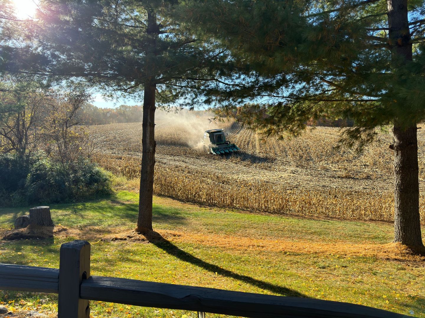 A combine harvests corn in a field, around Inn Between the Lakes. Trees in the foreground, sunny day.
