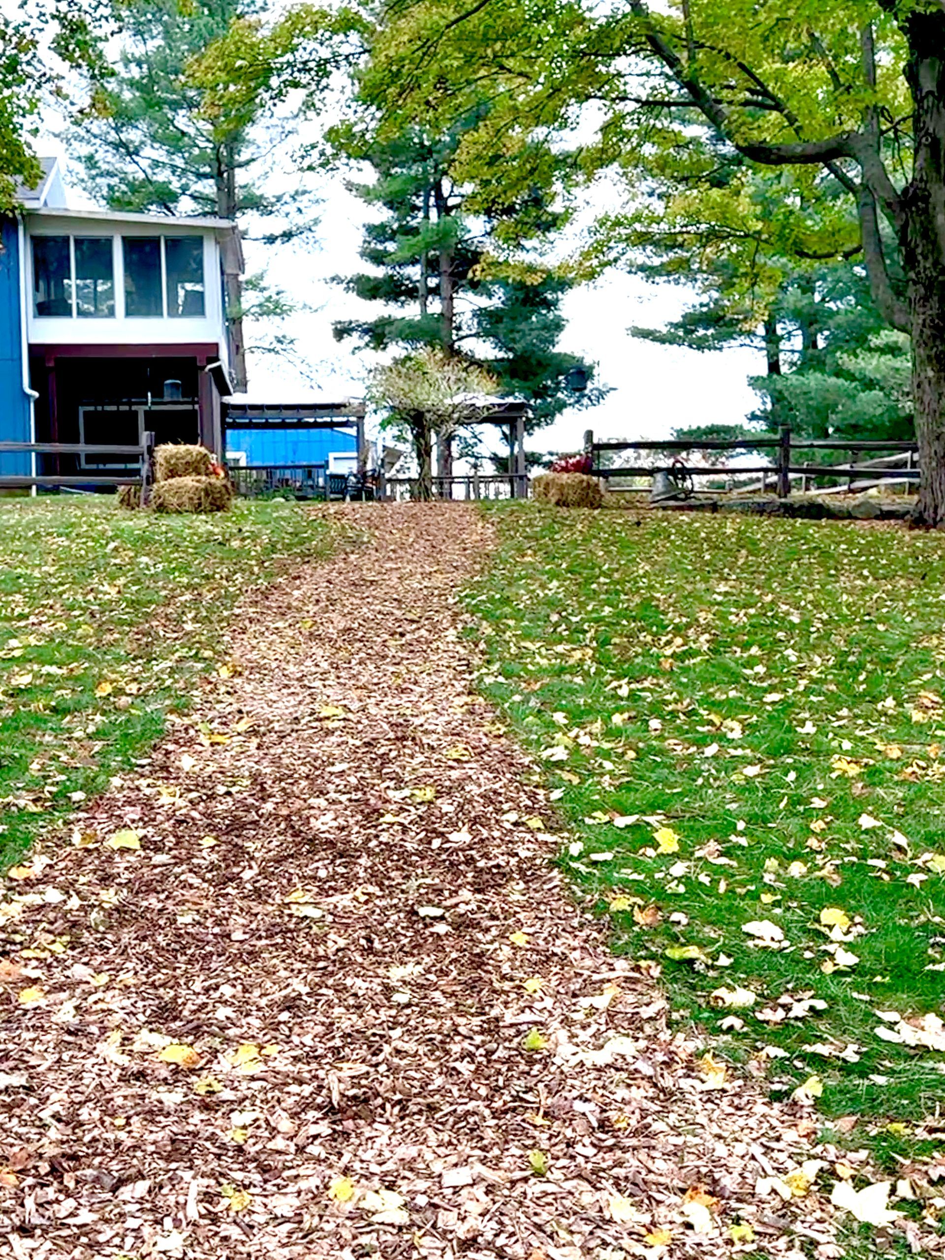 Pathway covered in leaves leads towards a wooden fence and blue building; autumn scene.