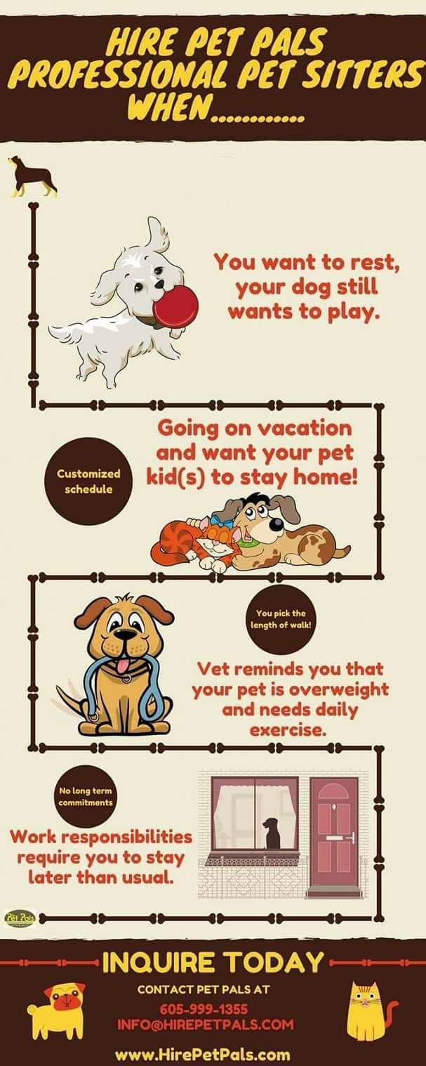 Hire Pet Pals for dog sitting, cat sitting, dog walks, and doggy daycare