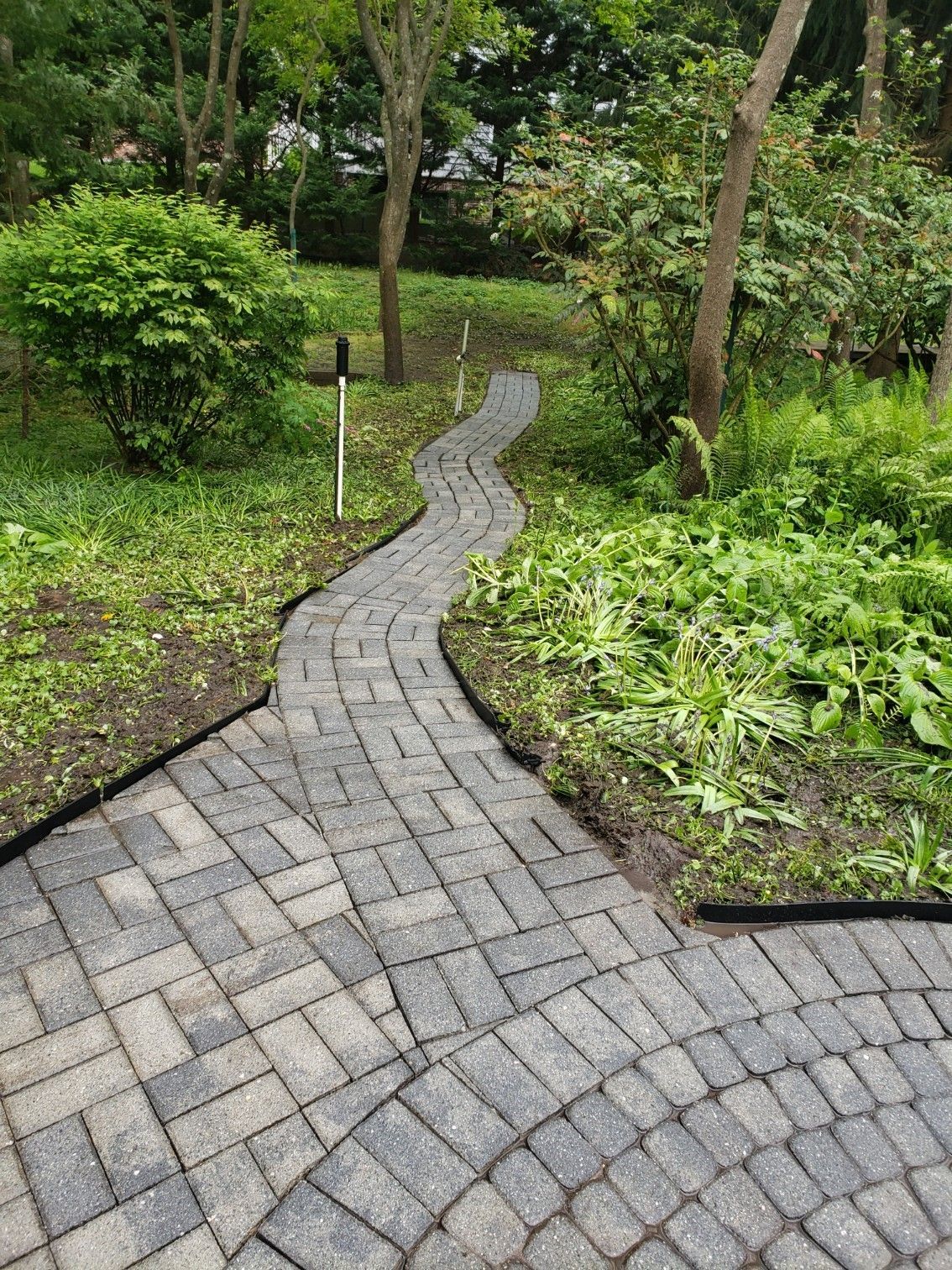 A brick walkway going through a lush green garden.