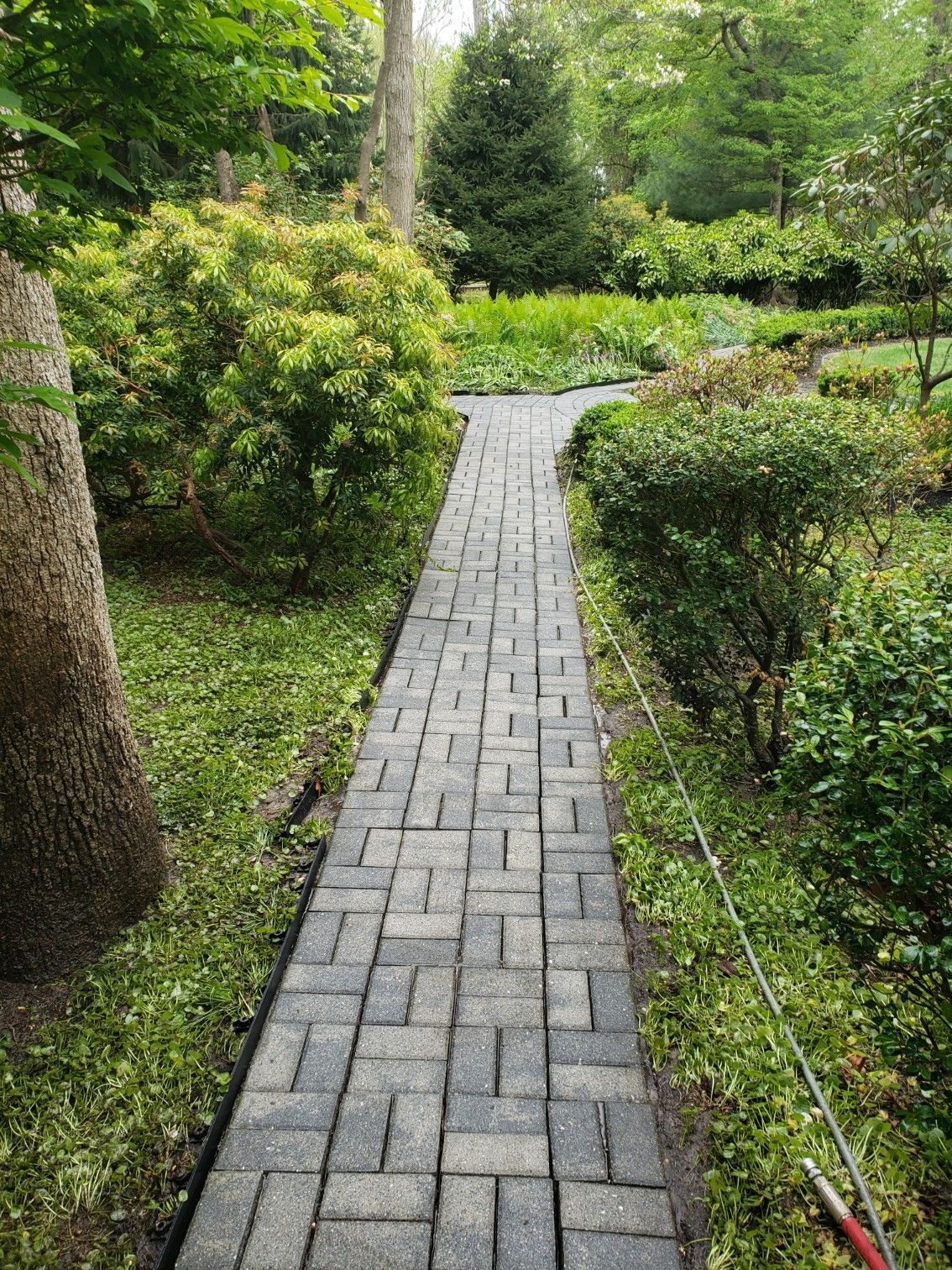 A brick walkway in a garden surrounded by trees and bushes.