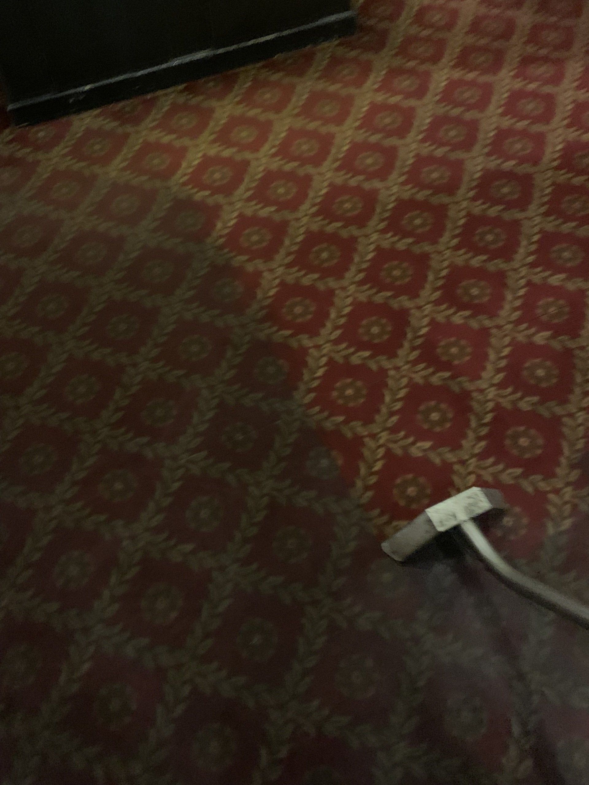 A vacuum cleaner is sitting on a red carpet in a dark room.