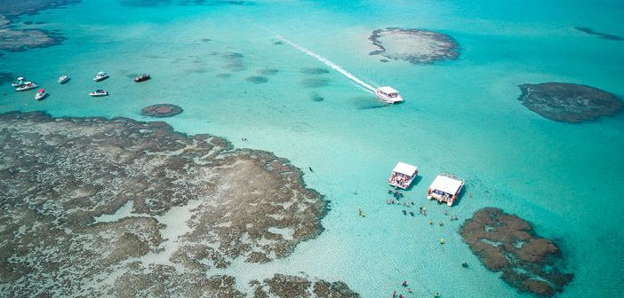 Acesso as Piscinas Naturais de Maragogi e região