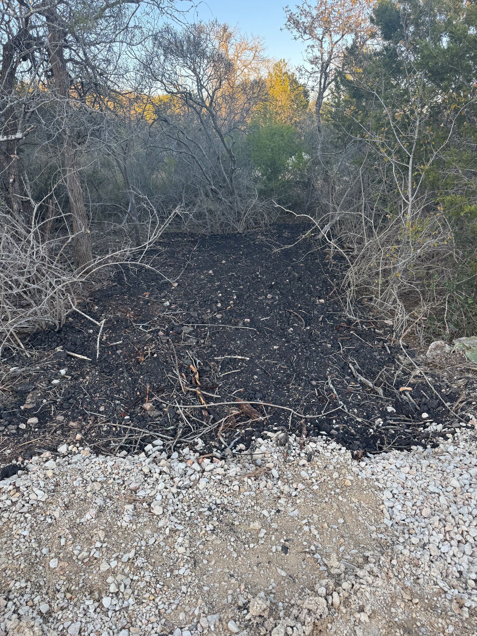 A pile of branches and rocks in the middle of a forest.