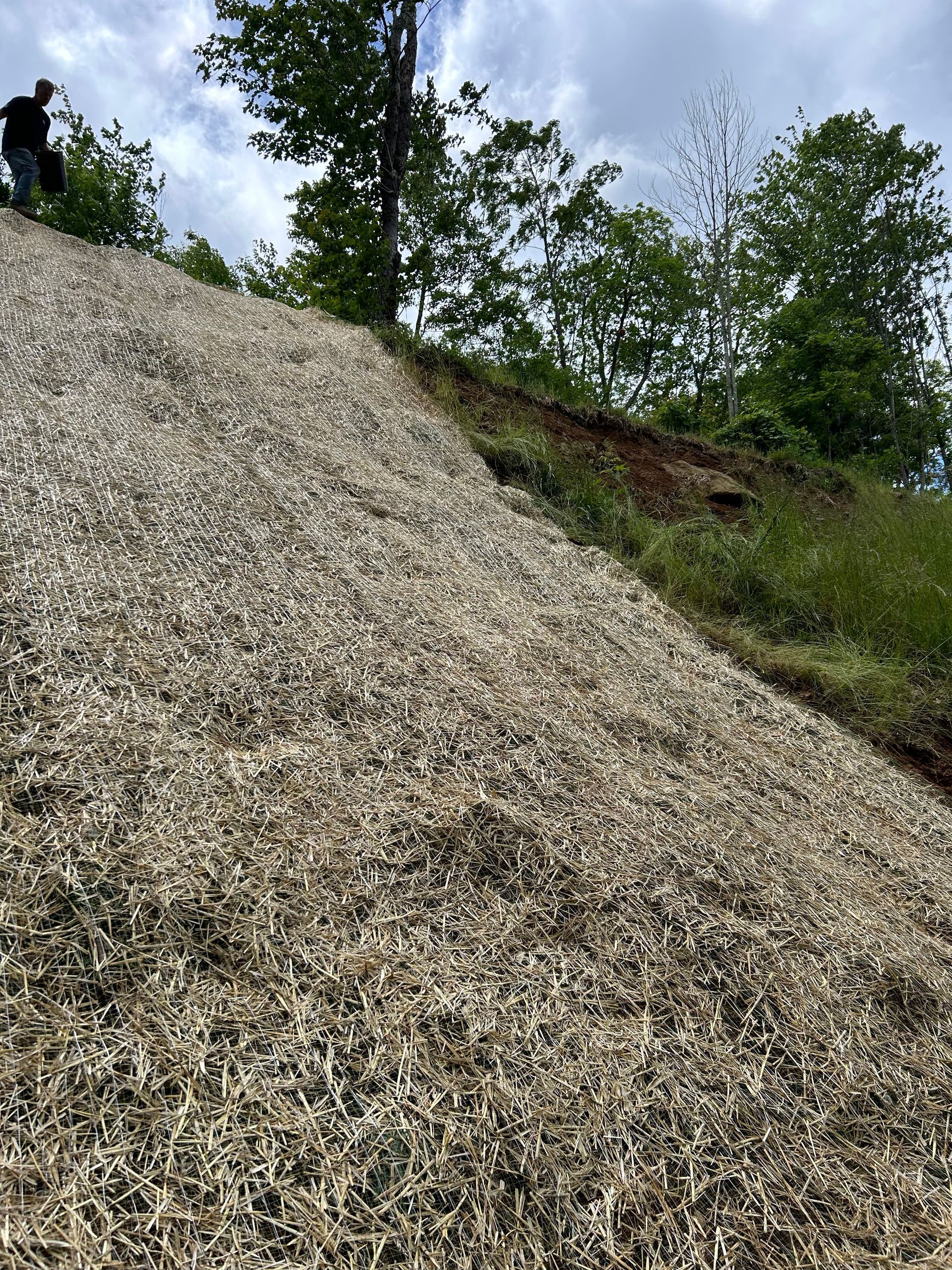Steep gravel embankment with trees and green grass on a cloudy day
