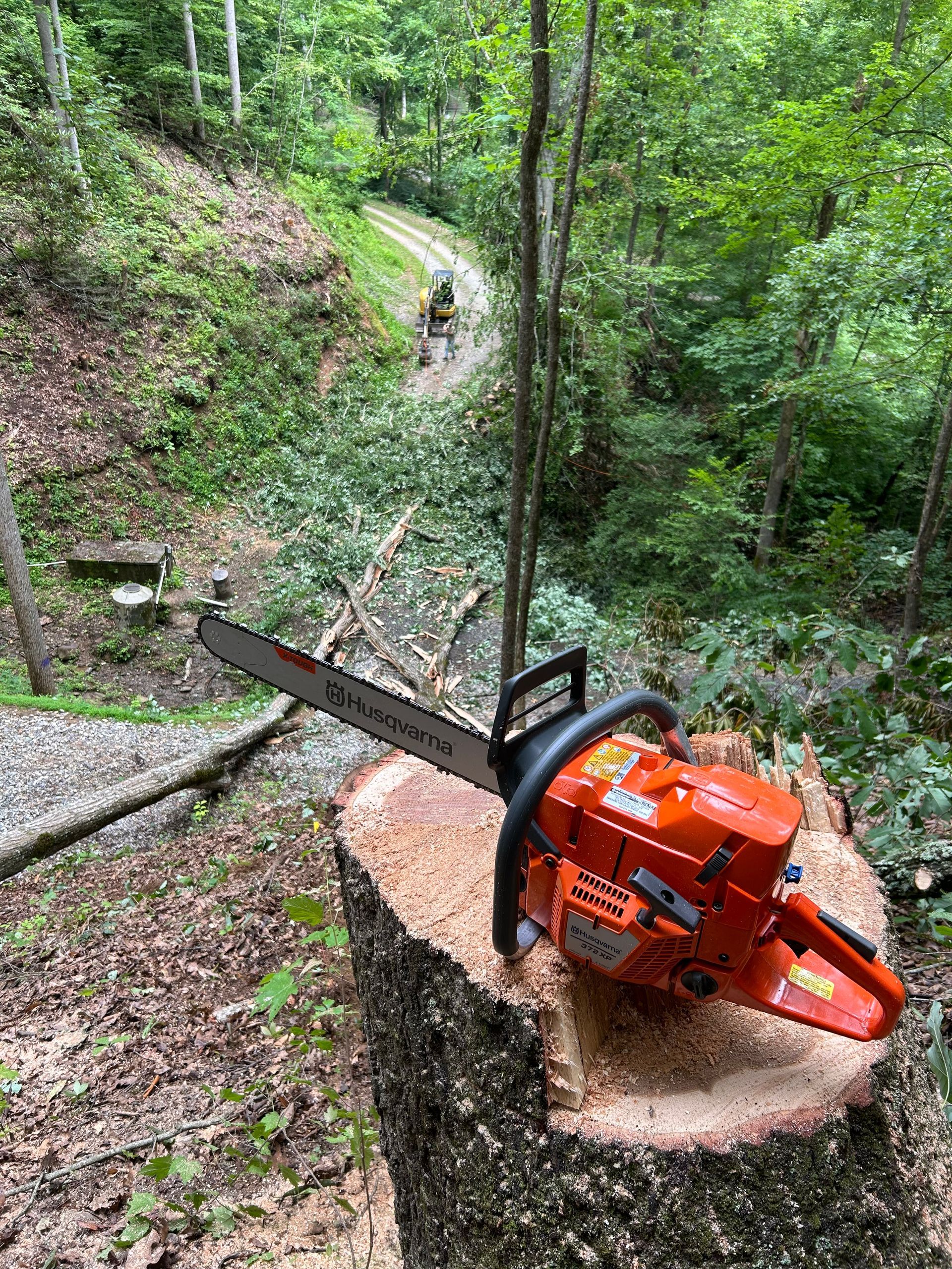 Orange chainsaw resting on a cut tree stump along a wooded trail in a forest.