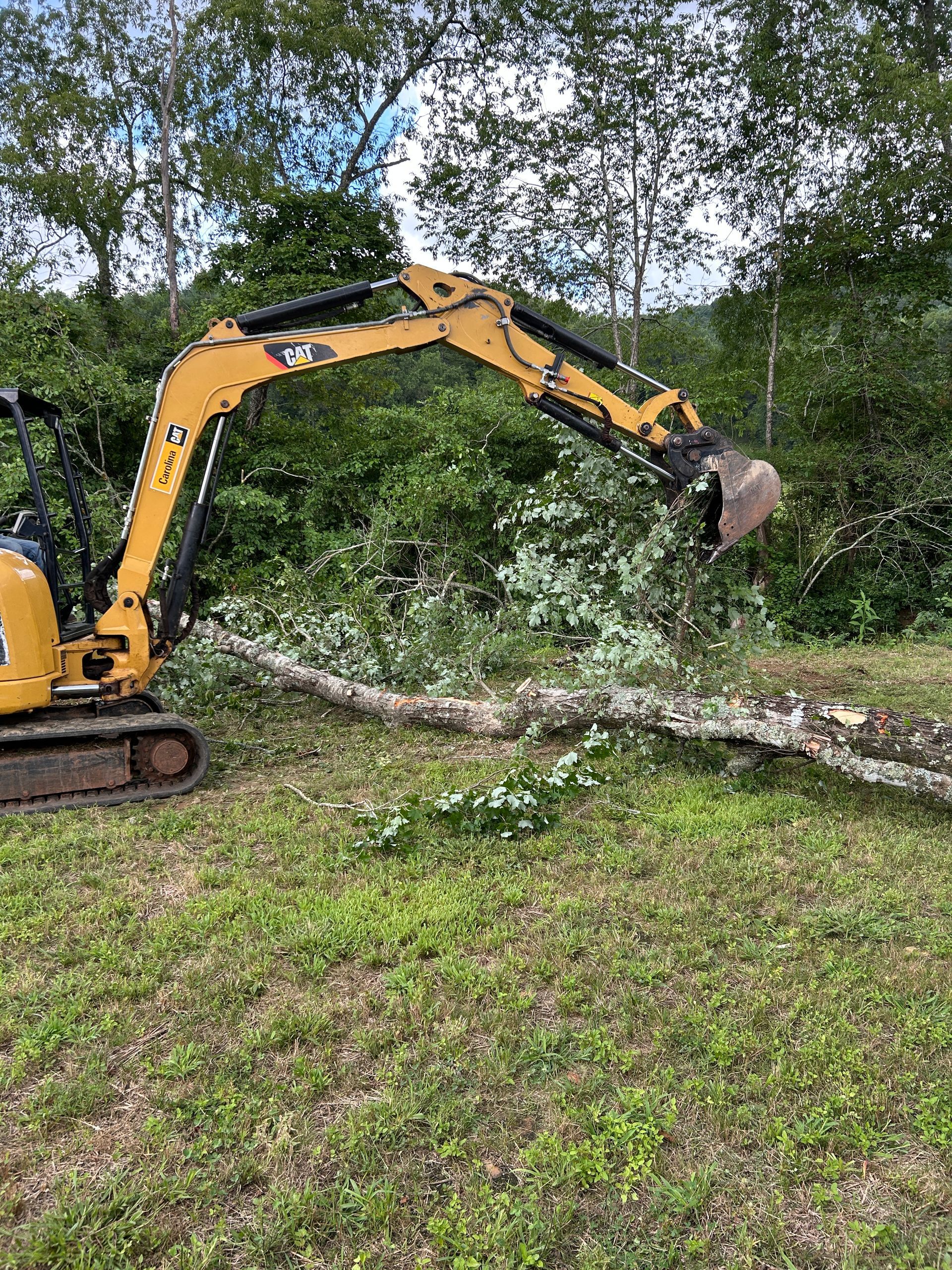 Yellow excavator moving a fallen tree branch in a grassy wooded area