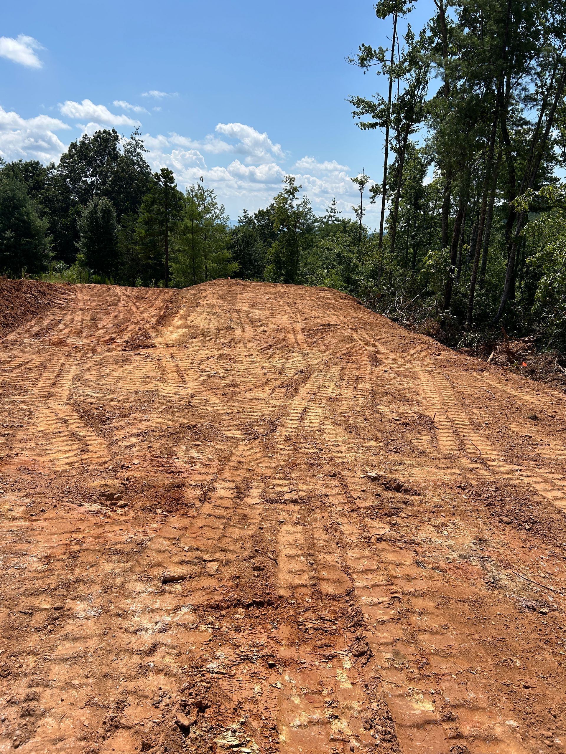 Cleared dirt road through wooded area under a bright blue sky with clouds