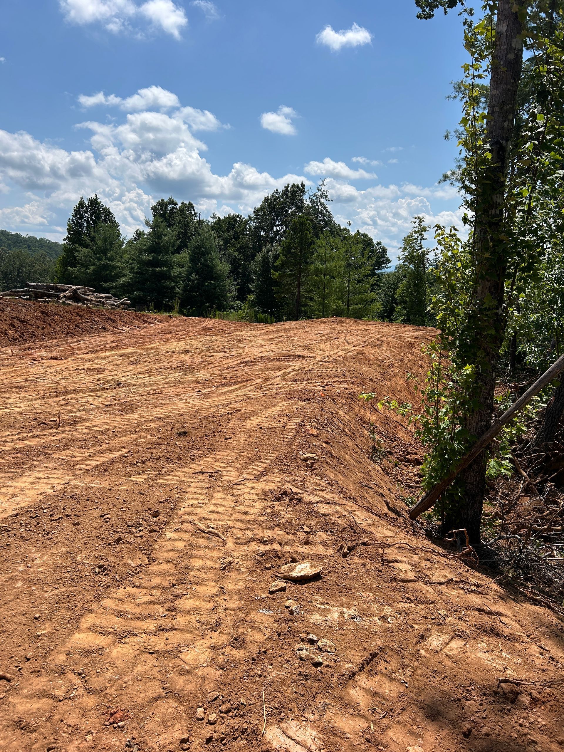 Cleared dirt lot with trees at the edge under a blue sky with clouds