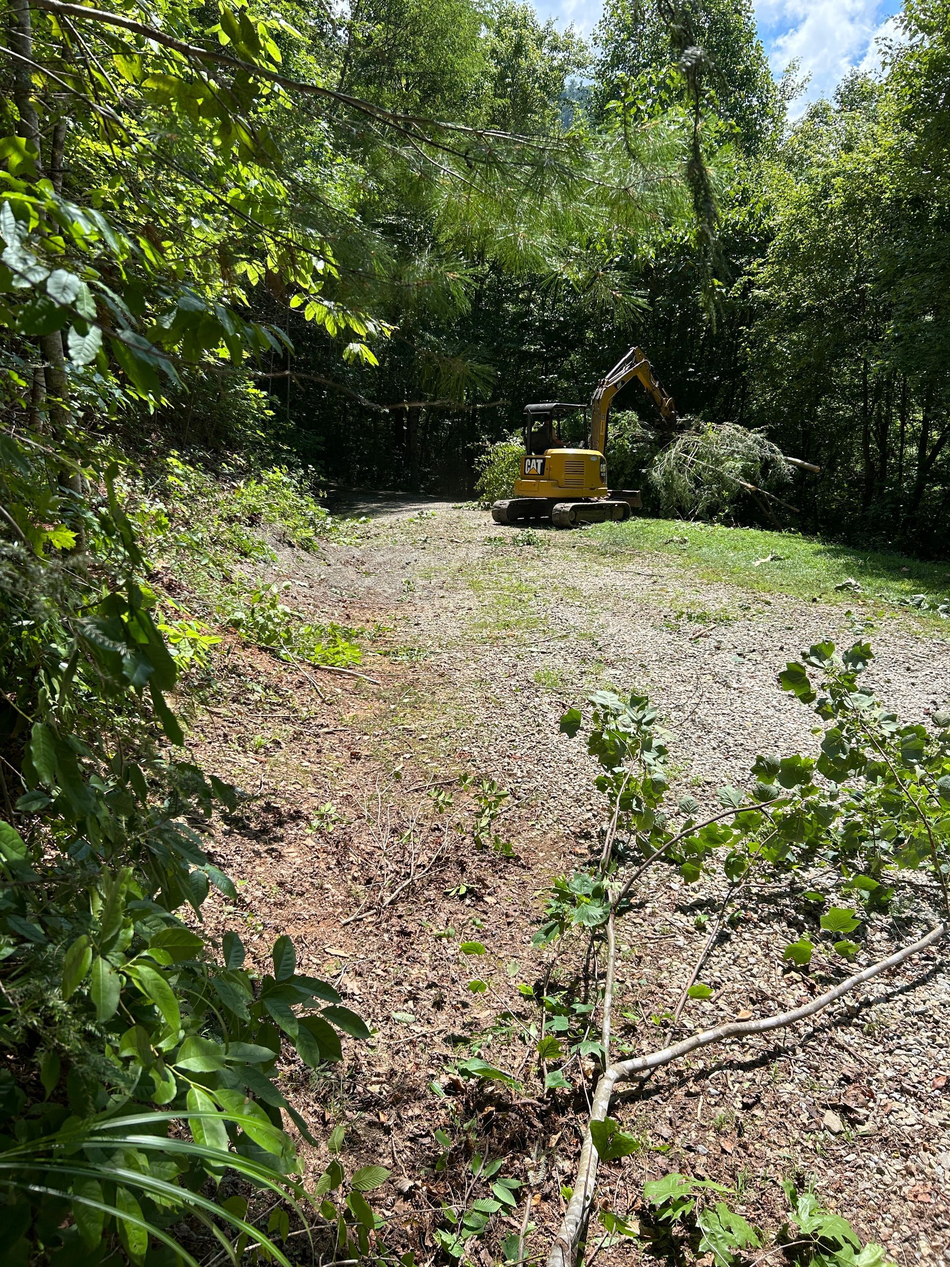 Yellow excavator clearing brush in a wooded area with fallen leaves and dense greenery