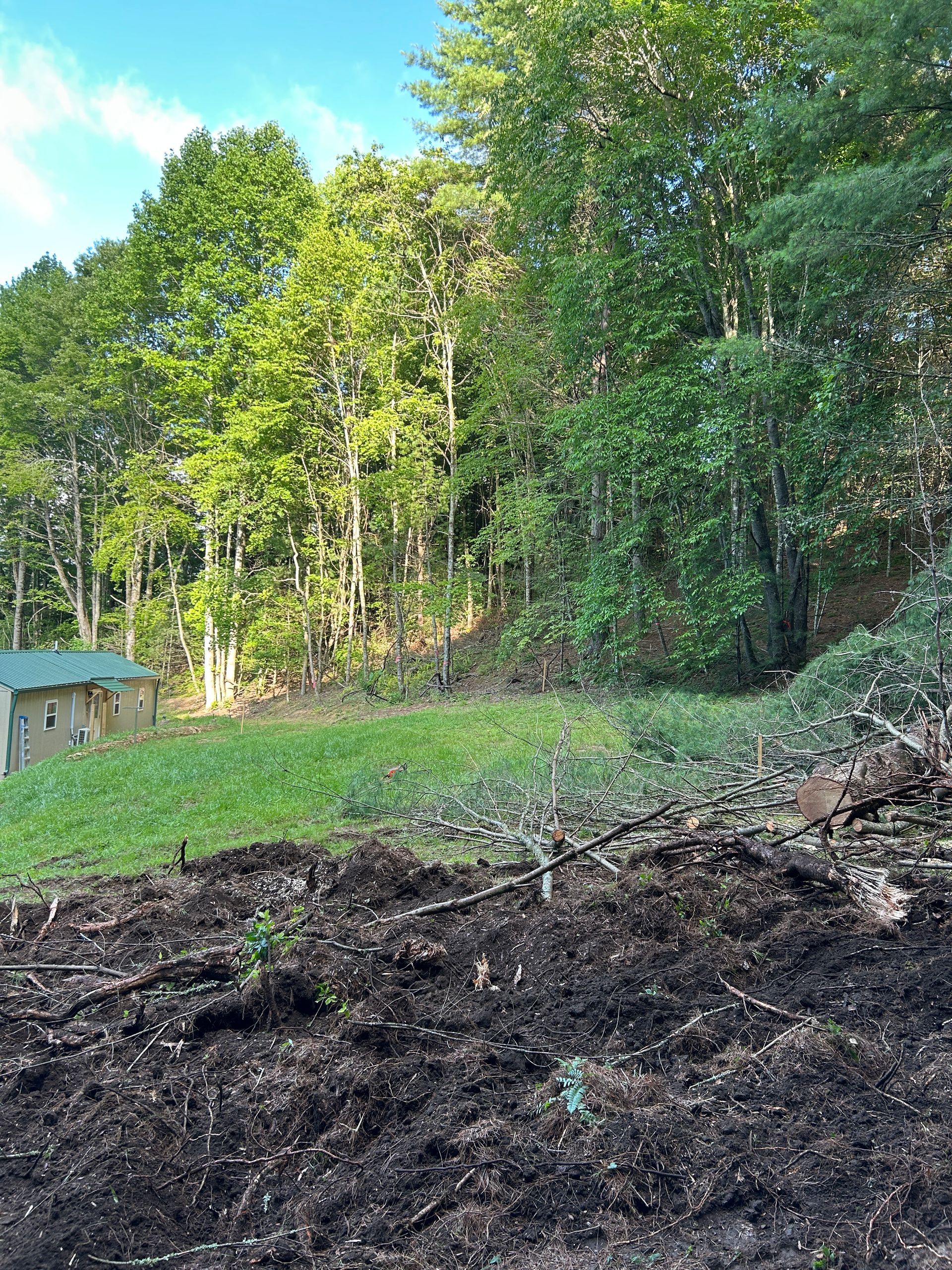 Cleared earth beside a wooded area with tall green trees and a small shed on the left.