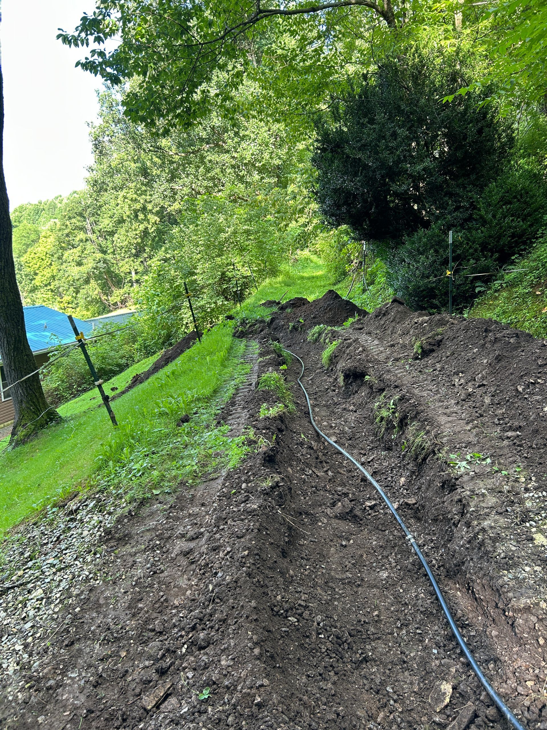 Freshly tilled garden bed beside a sloping grassy yard with trees and a black hose.