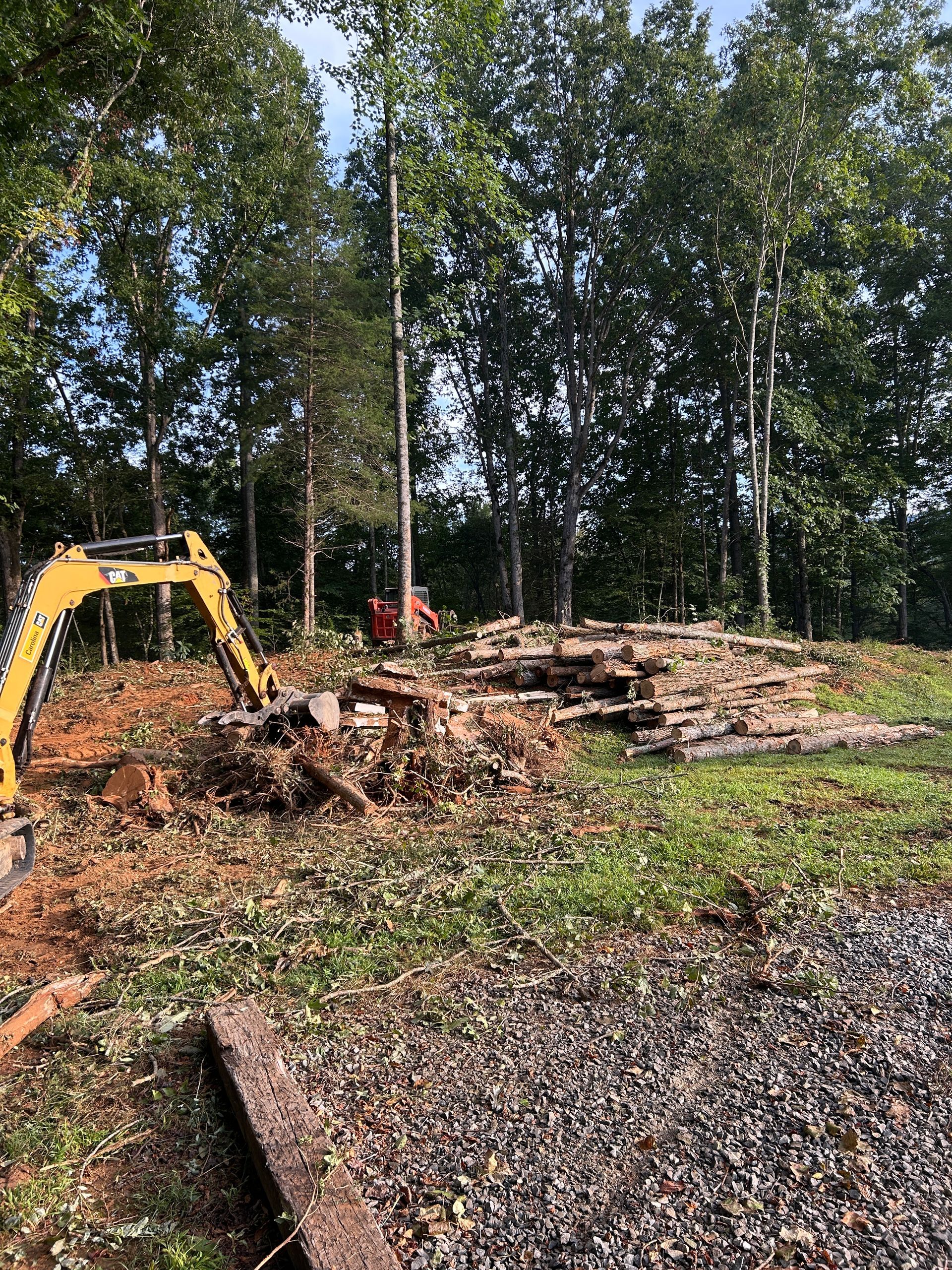 Yellow excavator clearing a wooded area, with piles of debris and tall trees in the background