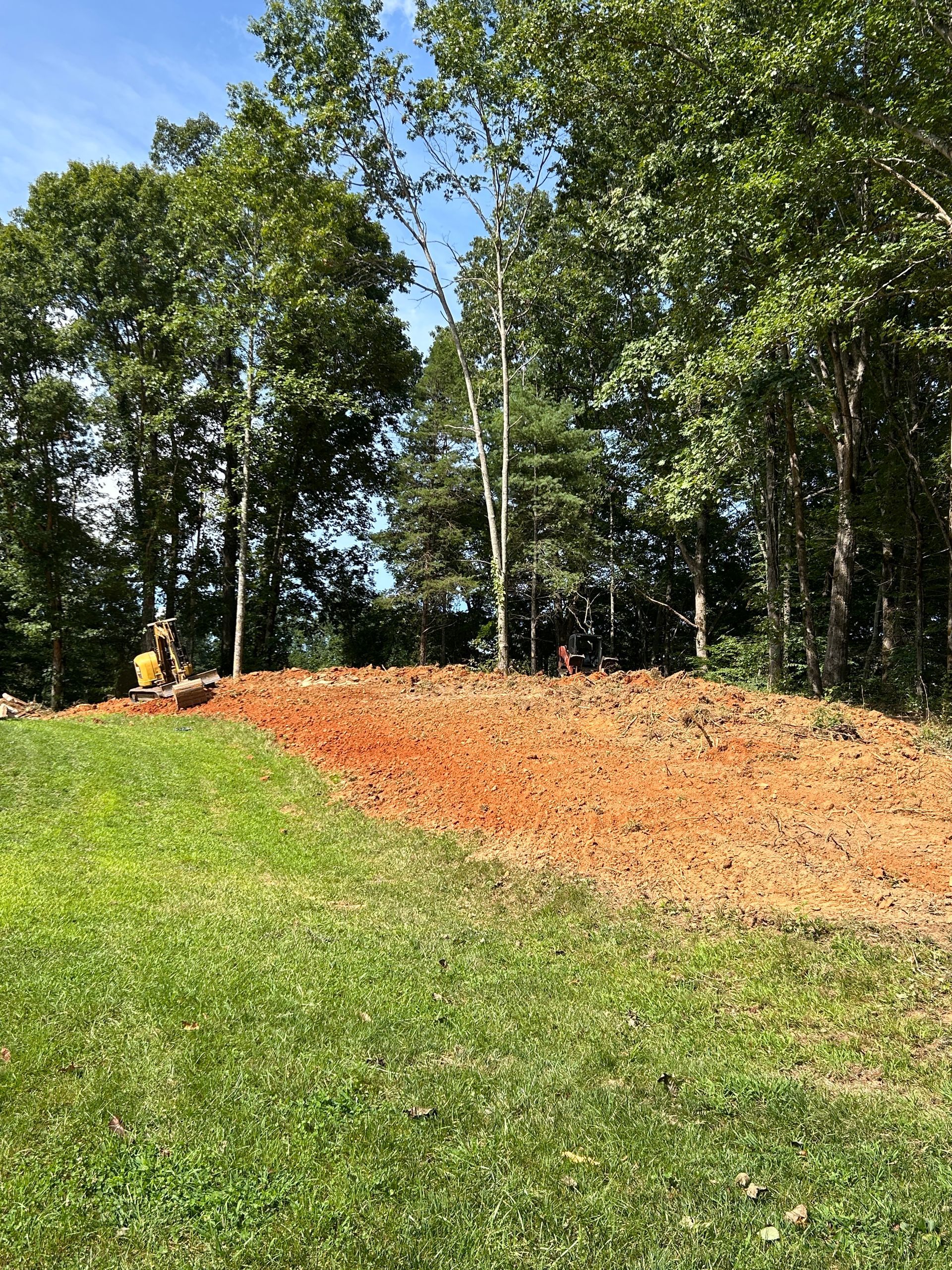 Grassy hillside with orange mulch and tall green trees under a clear blue sky