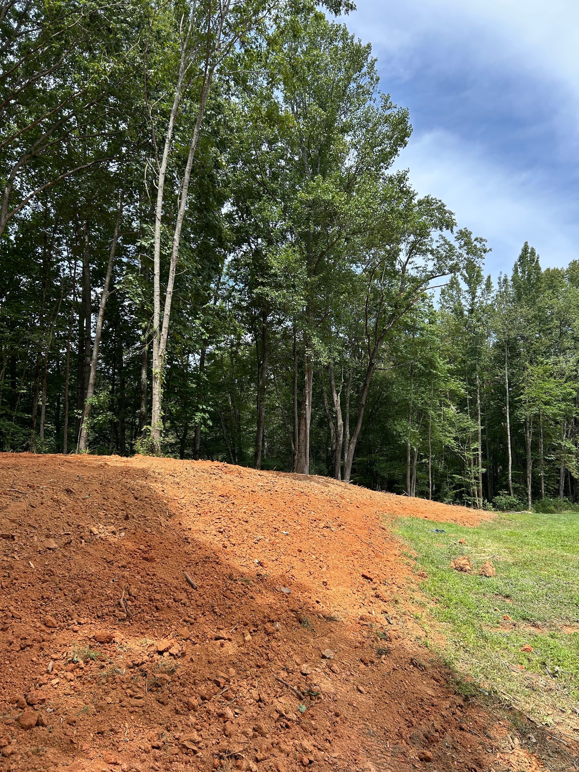 Fresh brown woodchip mound beside a green grassy clearing with trees under a blue sky