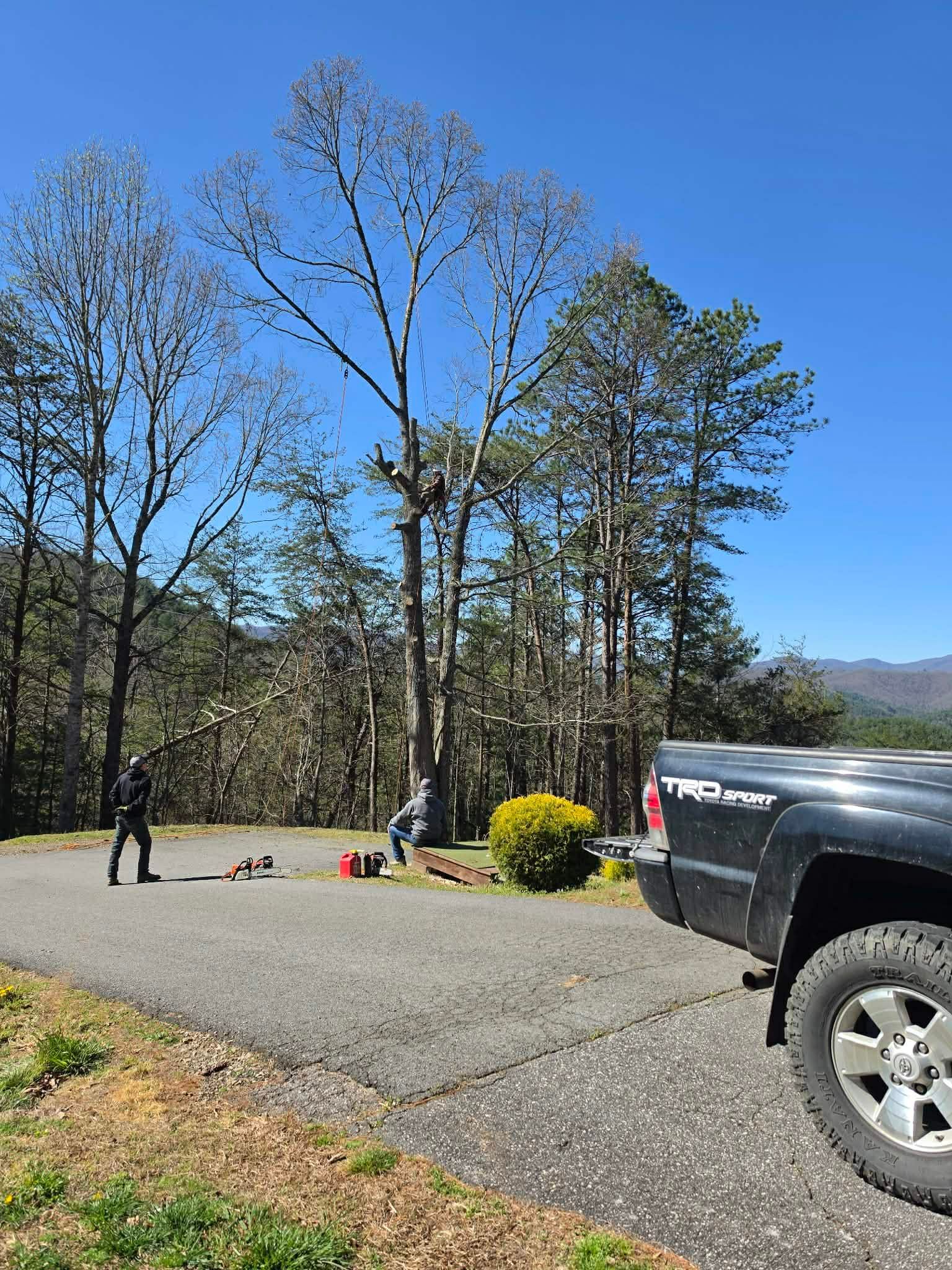 Parking area beside tall trees on a sunny day, with a pickup truck, a person, and scattered gear.