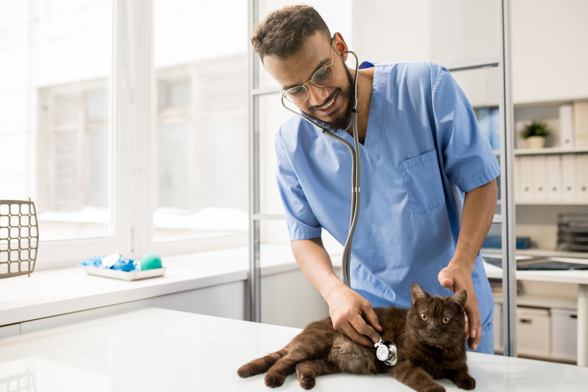 Veterinarian using a stethoscope to examine a brown cat on an exam table.