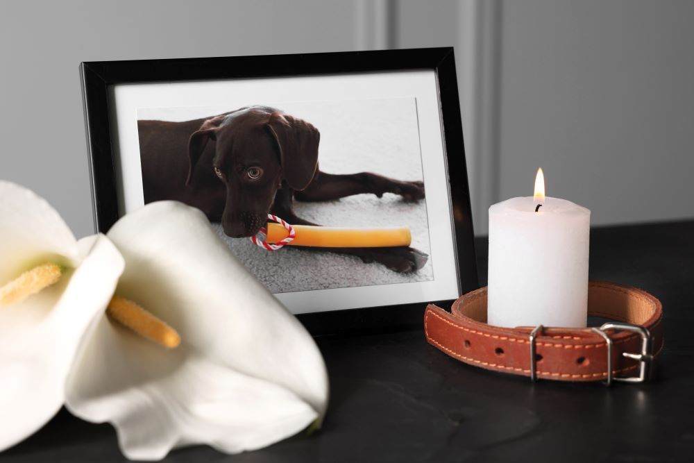 Grief Support