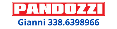 PANDOZZI REVISIONI logo