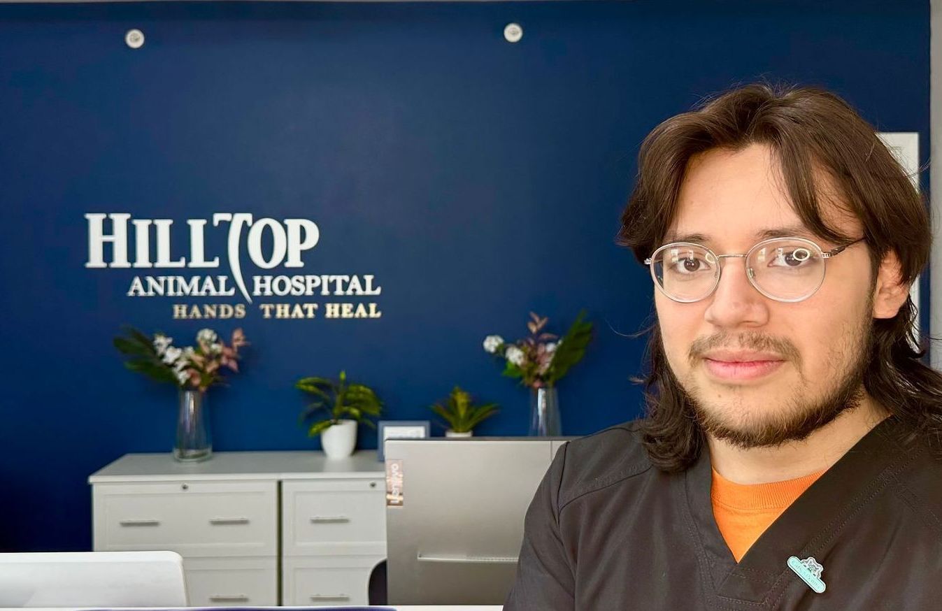 Our Team | Palatine, IL | Hilltop Animal Hospital - Hilltop Animal Hospital Fuquay Varina Nc