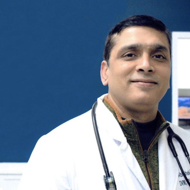 Dr. Abhishek Tripathi, DVM, MVSc, PhD