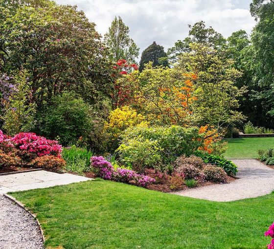landscape design savannah ga