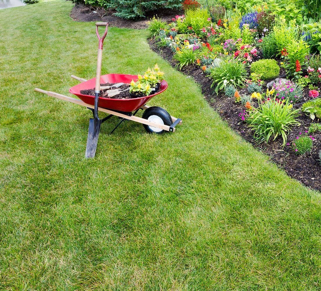 landscaping savannah