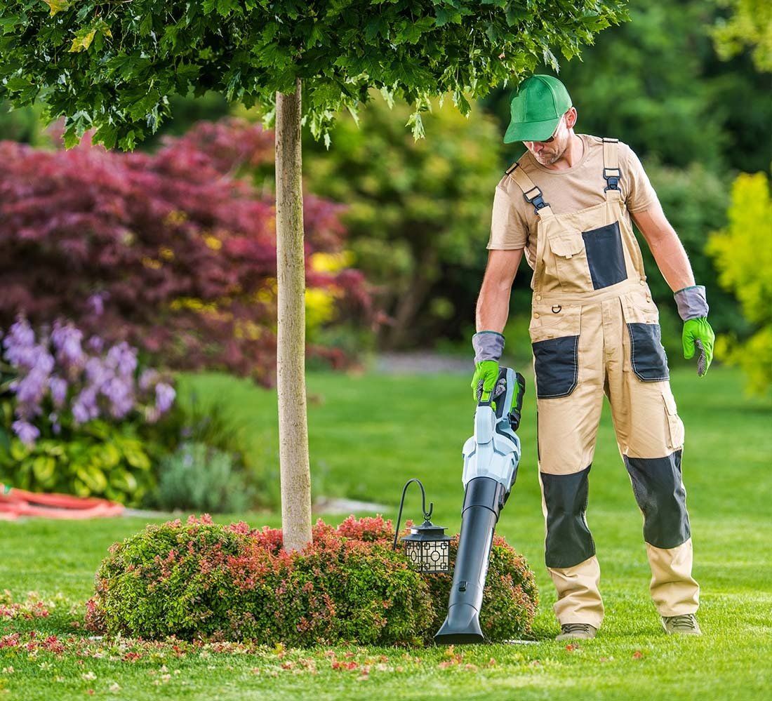 landscapers savannah ga 2
