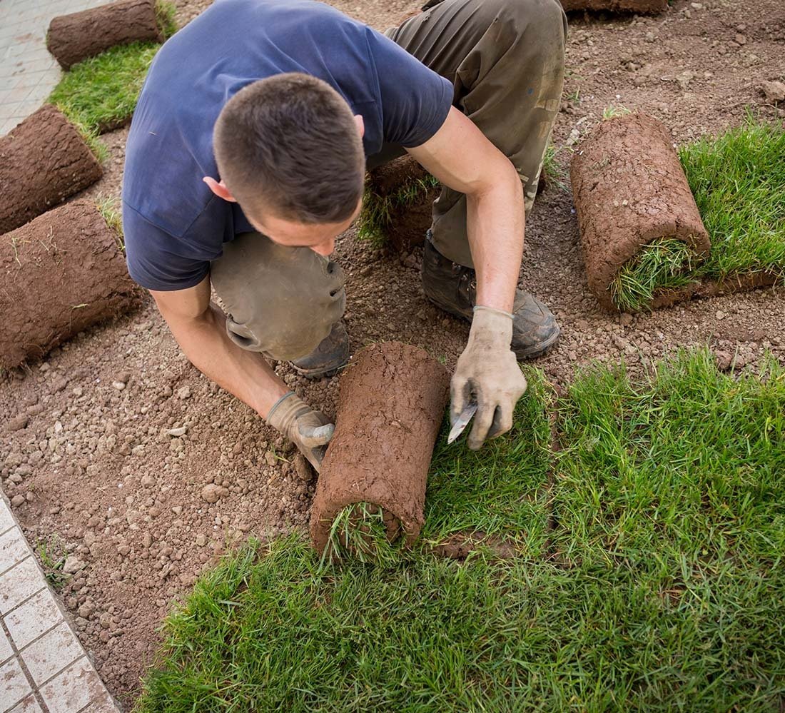 Landscape Savannah GA Sod Savannah GA