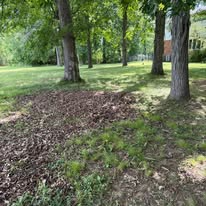 Leaf pile on grassy ground among trees in a park-like yard
