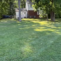 Grassy backyard with large trees and a house in the background, dappled with sunlight
