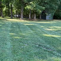 Shaded grassy park with tall trees and a small gray shed in the background
