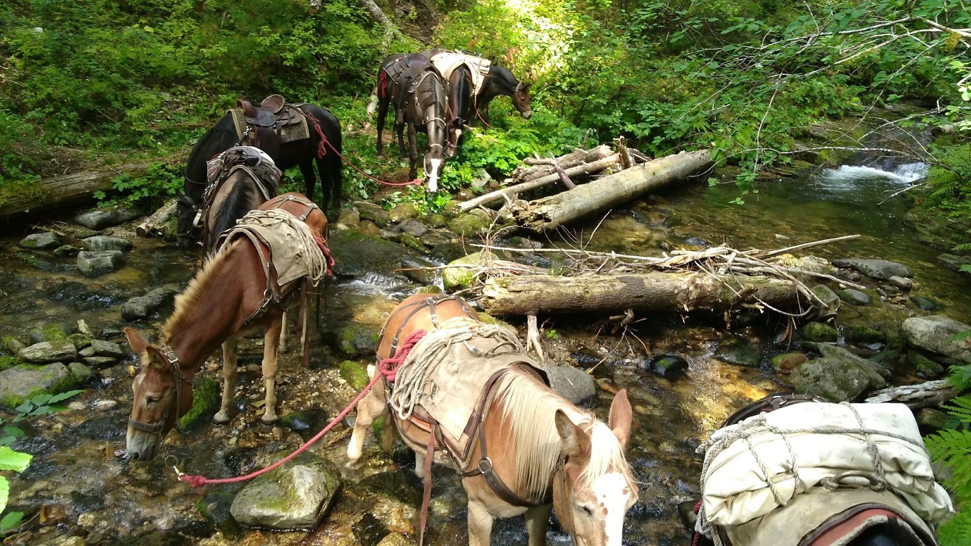 Clearwater Outfitters Gallery Image